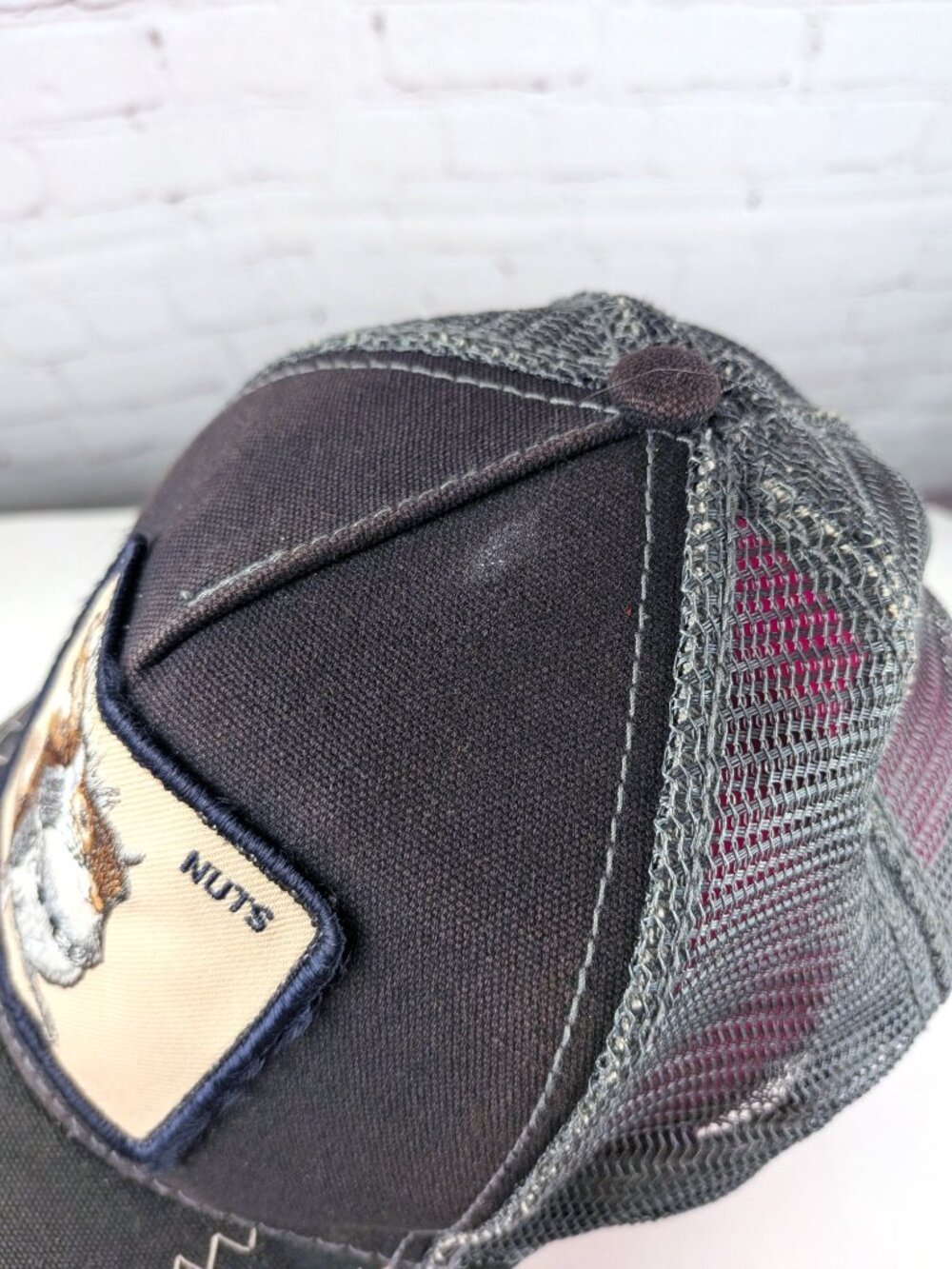 Goorin Bros. Nuts Squirrel Master Trucker Hat - Picture 7 of 15